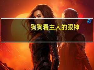 狗狗看主人的眼神