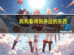 狗狗看得到多远的东西