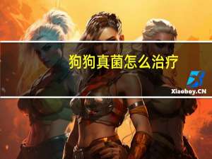 狗狗真菌怎么治疗