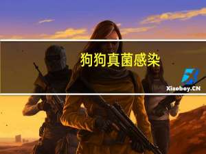 狗狗真菌感染