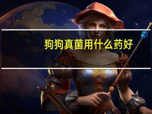狗狗真菌用什么药好