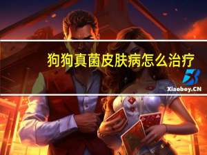 狗狗真菌皮肤病怎么治疗