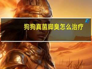 狗狗真菌脚臭怎么治疗