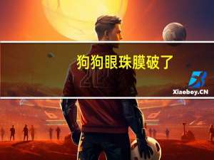 狗狗眼珠膜破了