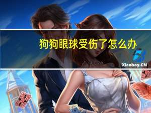 狗狗眼球受伤了怎么办