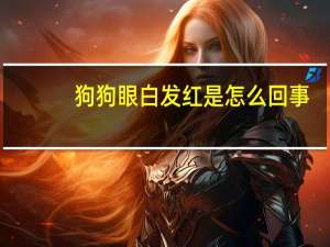 狗狗眼白发红是怎么回事