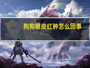 狗狗眼皮红肿怎么回事