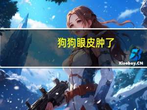 狗狗眼皮肿了