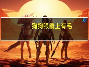 狗狗眼睛上有毛