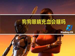 狗狗眼睛充血会瞎吗