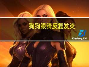 狗狗眼睛反复发炎