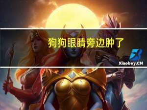 狗狗眼睛旁边肿了