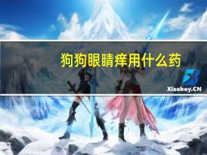 狗狗眼睛痒用什么药