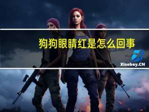 狗狗眼睛红是怎么回事