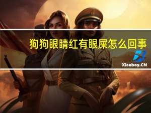 狗狗眼睛红有眼屎怎么回事