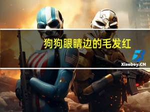 狗狗眼睛边的毛发红