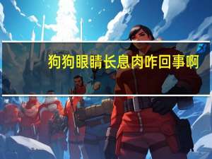 狗狗眼睛长息肉咋回事啊
