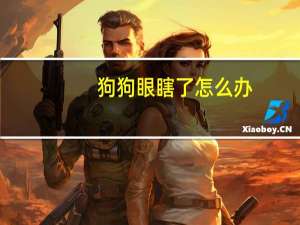 狗狗眼瞎了怎么办