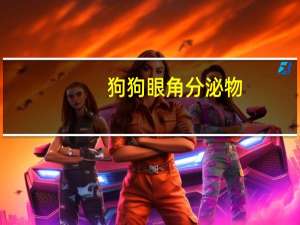 狗狗眼角分泌物