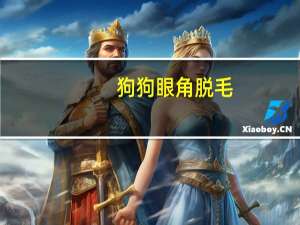 狗狗眼角脱毛