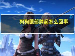狗狗眼部肿起怎么回事