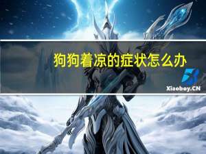 狗狗着凉的症状怎么办