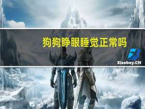 狗狗睁眼睡觉正常吗