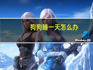狗狗睡一天怎么办