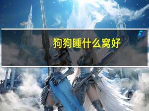 狗狗睡什么窝好