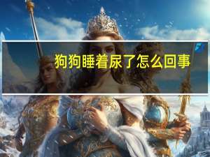 狗狗睡着尿了怎么回事