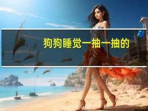 狗狗睡觉一抽一抽的