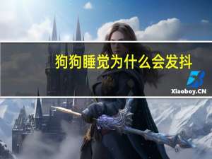 狗狗睡觉为什么会发抖