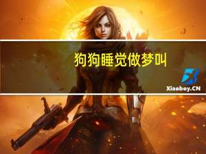 狗狗睡觉做梦叫