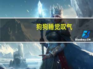 狗狗睡觉叹气