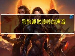 狗狗睡觉哼哼的声音