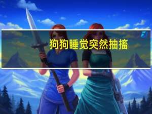 狗狗睡觉突然抽搐