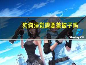 狗狗睡觉需要盖被子吗