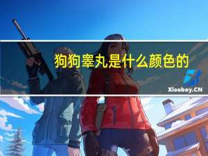 狗狗睾丸是什么颜色的