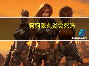 狗狗睾丸炎会死吗