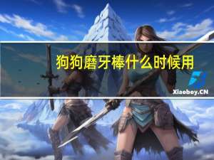 狗狗磨牙棒什么时候用