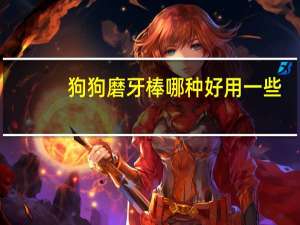 狗狗磨牙棒哪种好用一些