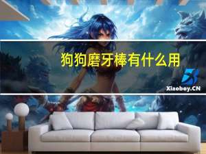 狗狗磨牙棒有什么用