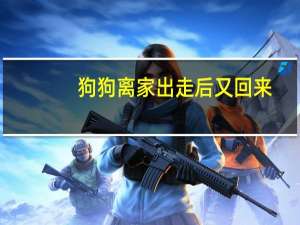 狗狗离家出走后又回来