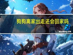 狗狗离家出走还会回家吗