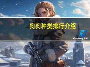 狗狗种类排行介绍