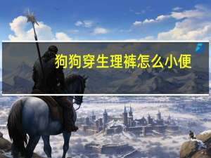 狗狗穿生理裤怎么小便