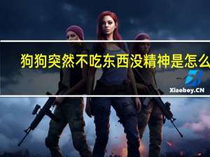狗狗突然不吃东西没精神是怎么了