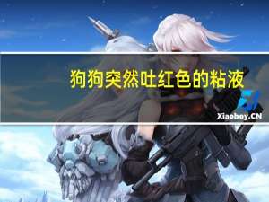 狗狗突然吐红色的粘液