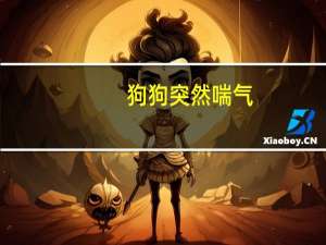 狗狗突然喘气