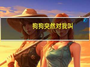 狗狗突然对我叫